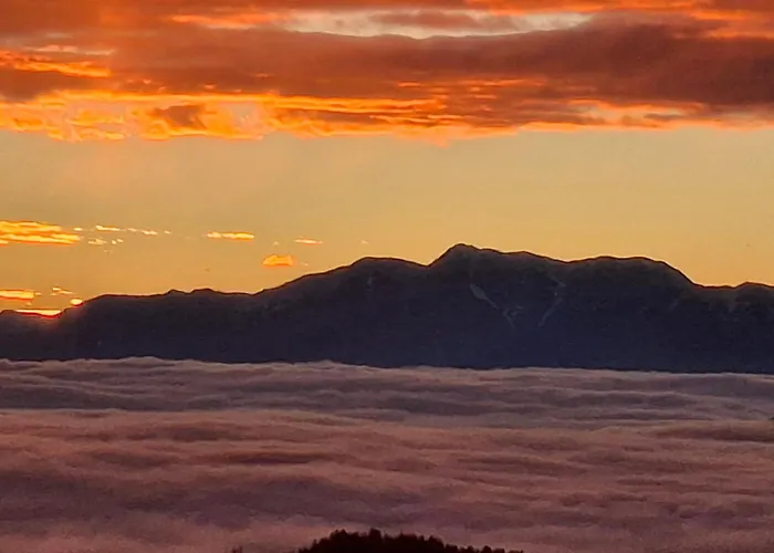 Apartament Bergliebe - Panoramablick